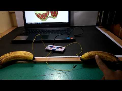 Play Bongos with Bananas !!