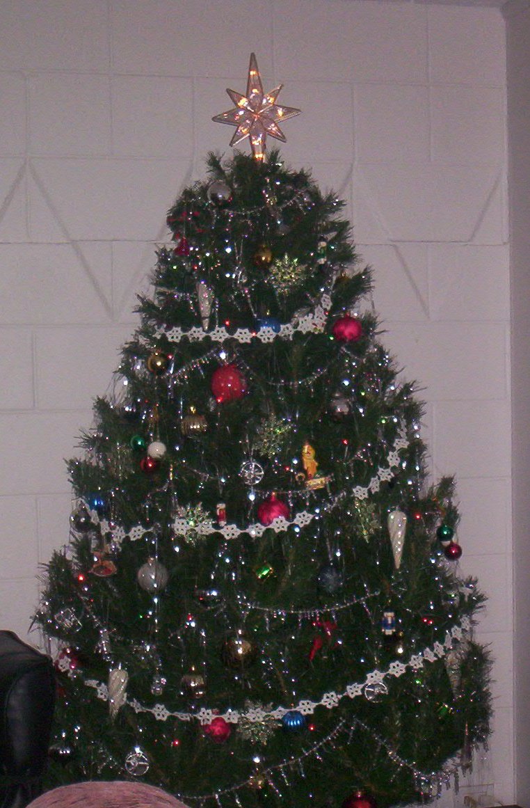 PlugInTreeTopper.JPG