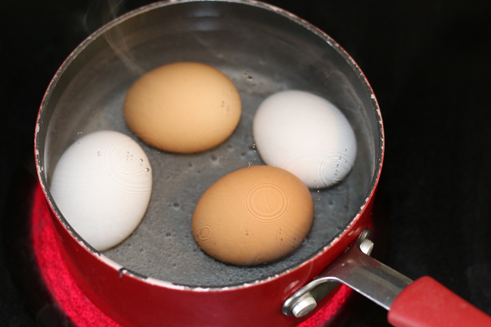 PoliticalEggs_Boiling Eggs.JPG