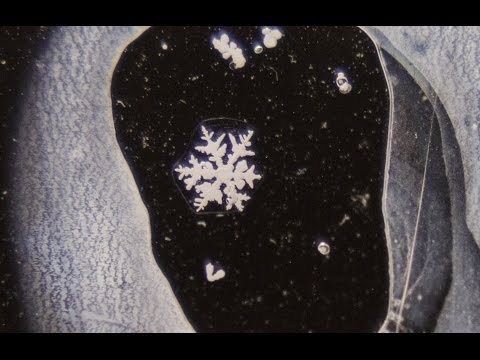 Polymers and Snowflakes: How to save a snowflake forever!