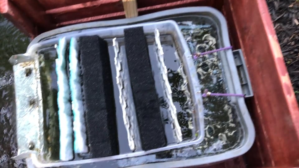 Pond filter replacement