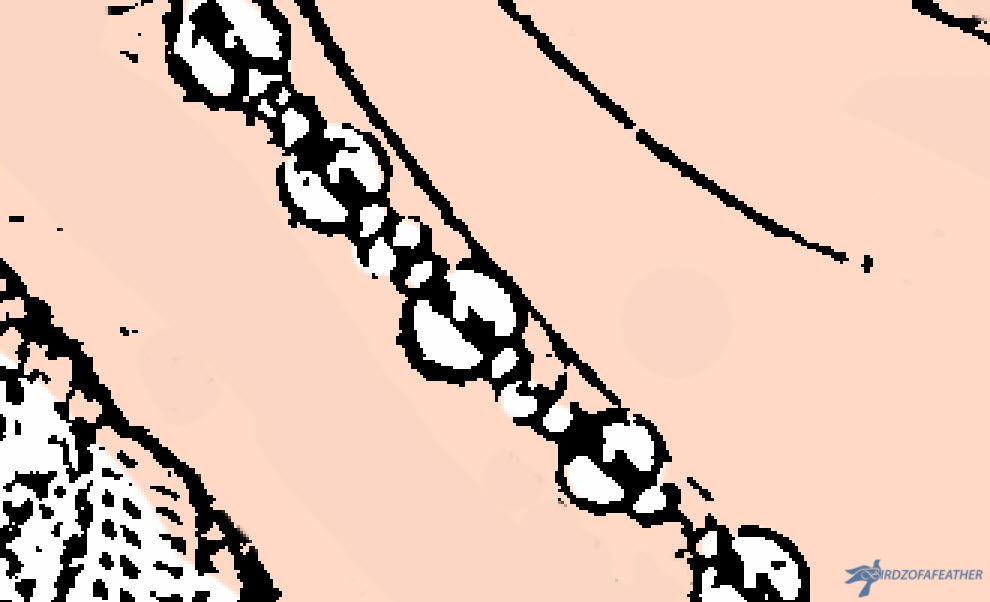 Pop Art 5_zoom in beads_reduce brush size_bof.jpg