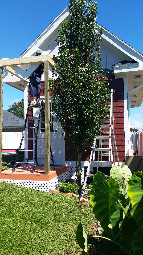 Porch framing.jpg