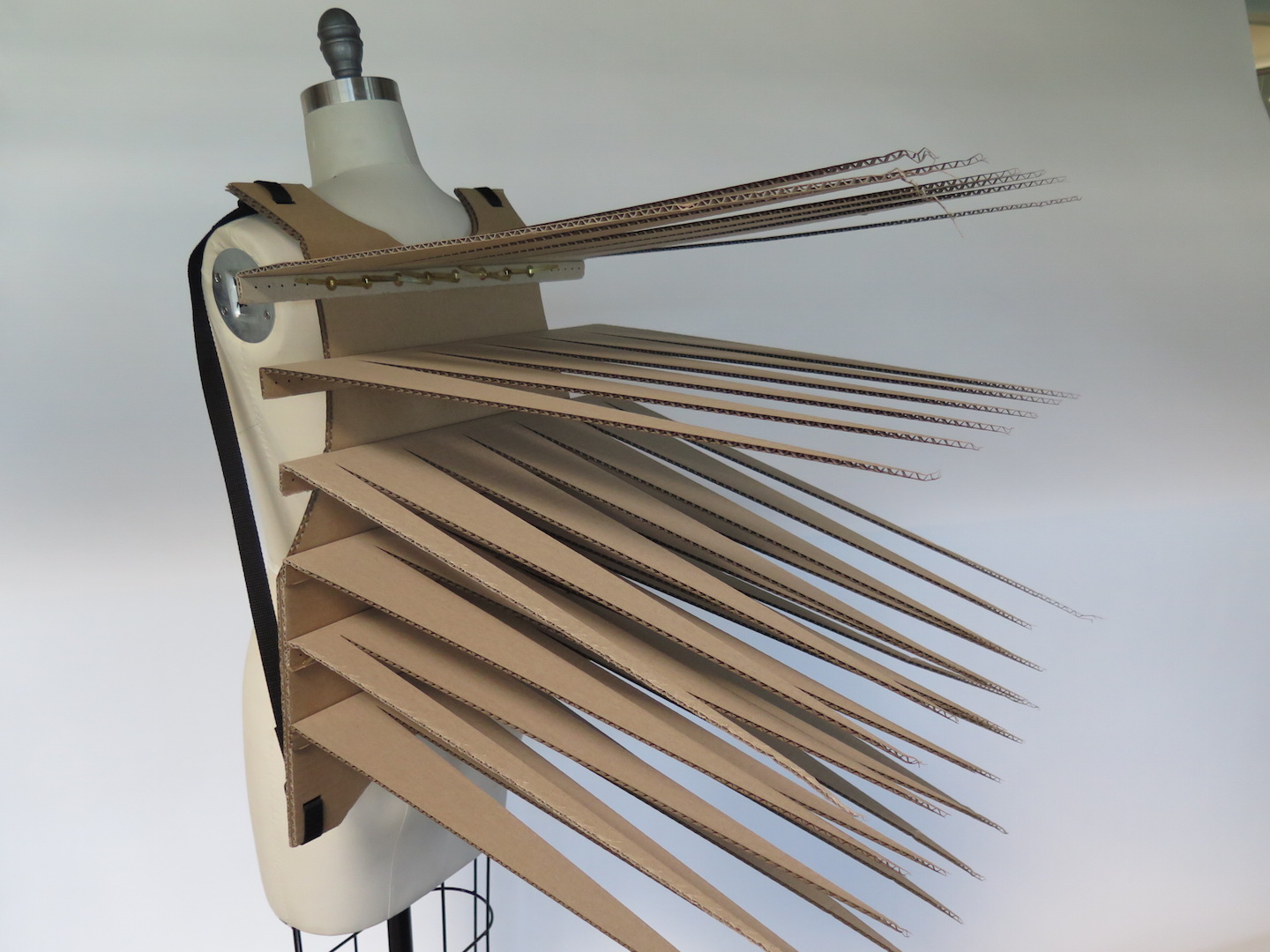 PorcupineVest_42.JPG