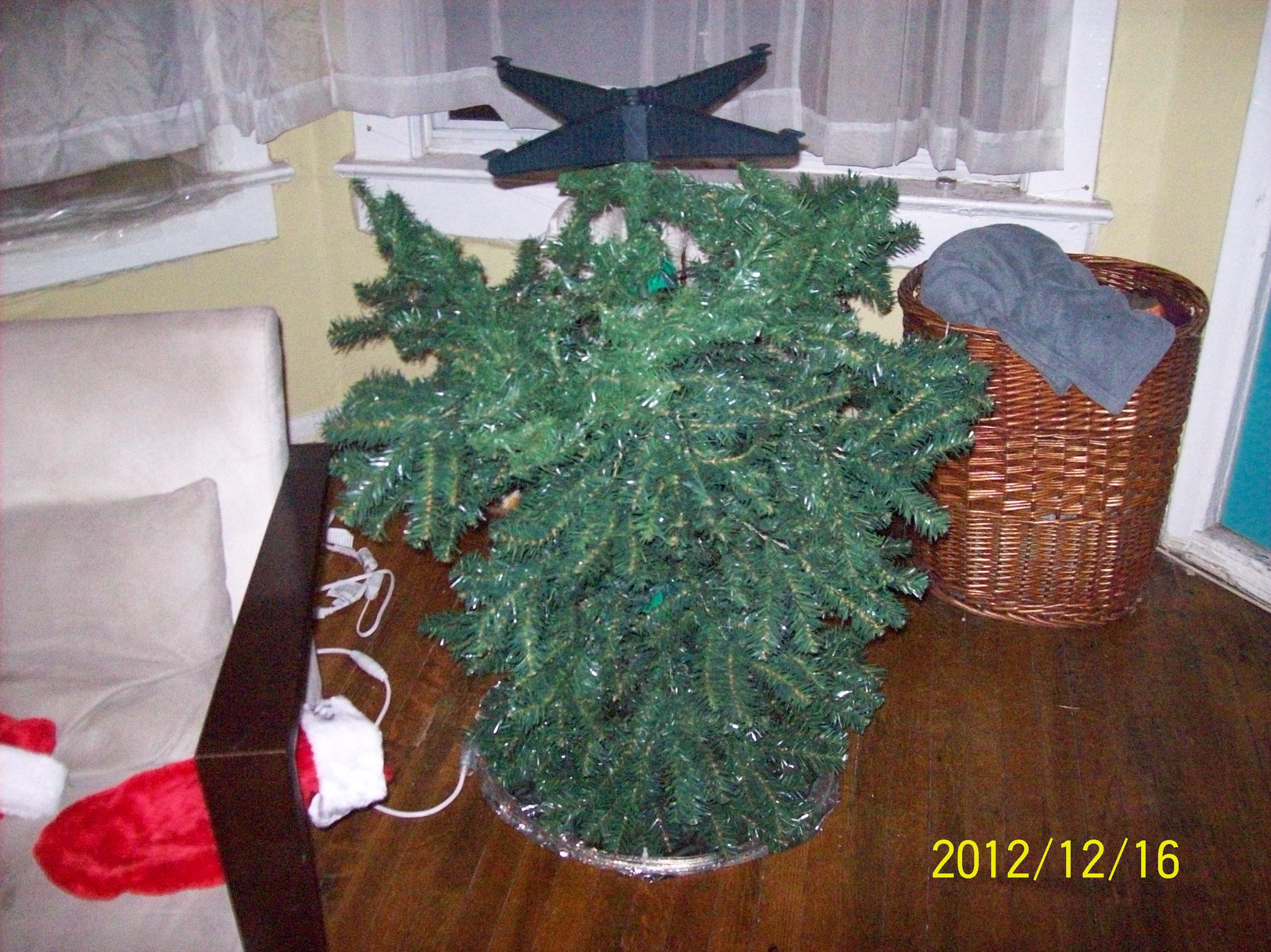 Portal-Christmas-Tree-2012-003.JPG