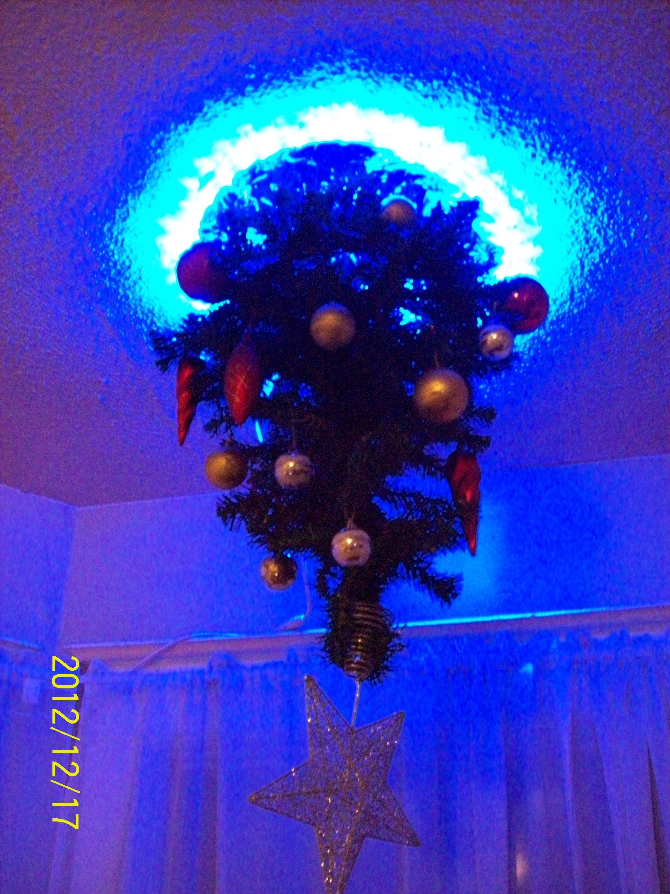 Portal-Christmas-Tree-2012-014.JPG