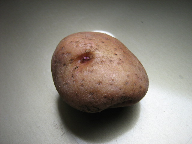 Potatoborg.jpg