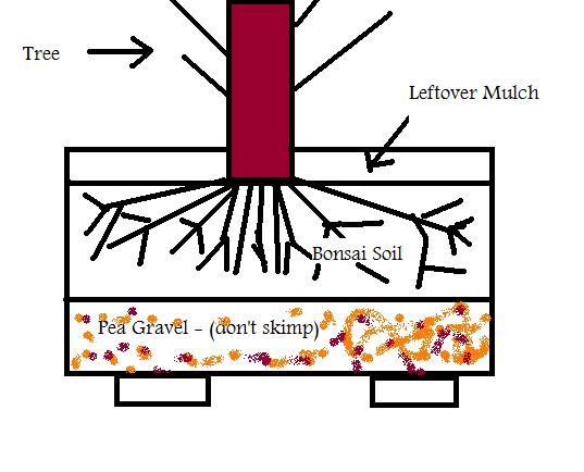 Potting Diagram.jpg