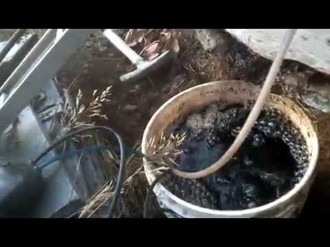 Powerful automatic compost tea brewery.   Easy DIY!