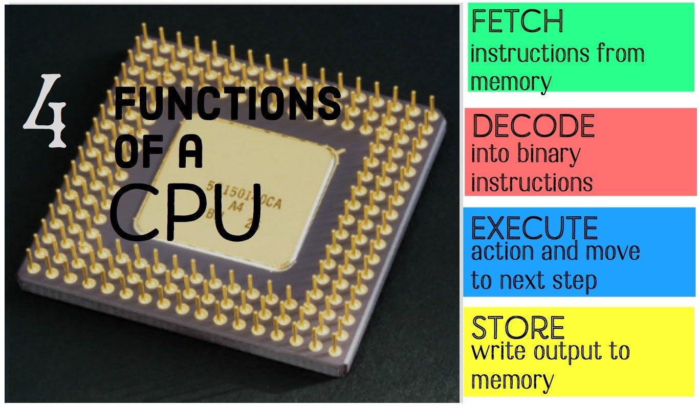 Processor Description.jpg