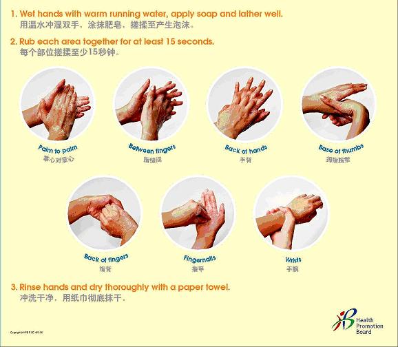 Proper steps to wash hands.JPG