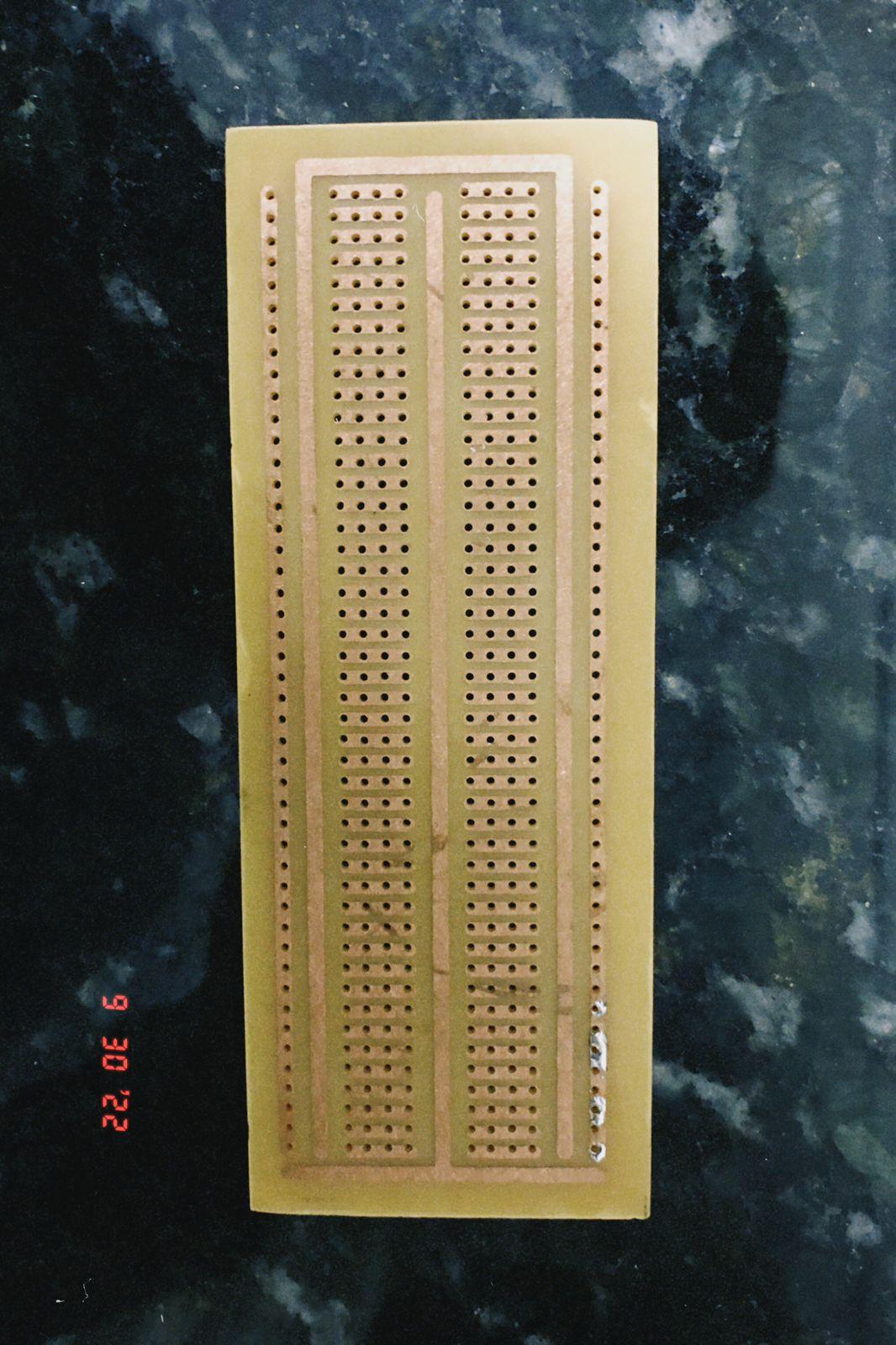 Protoplaca.jpg