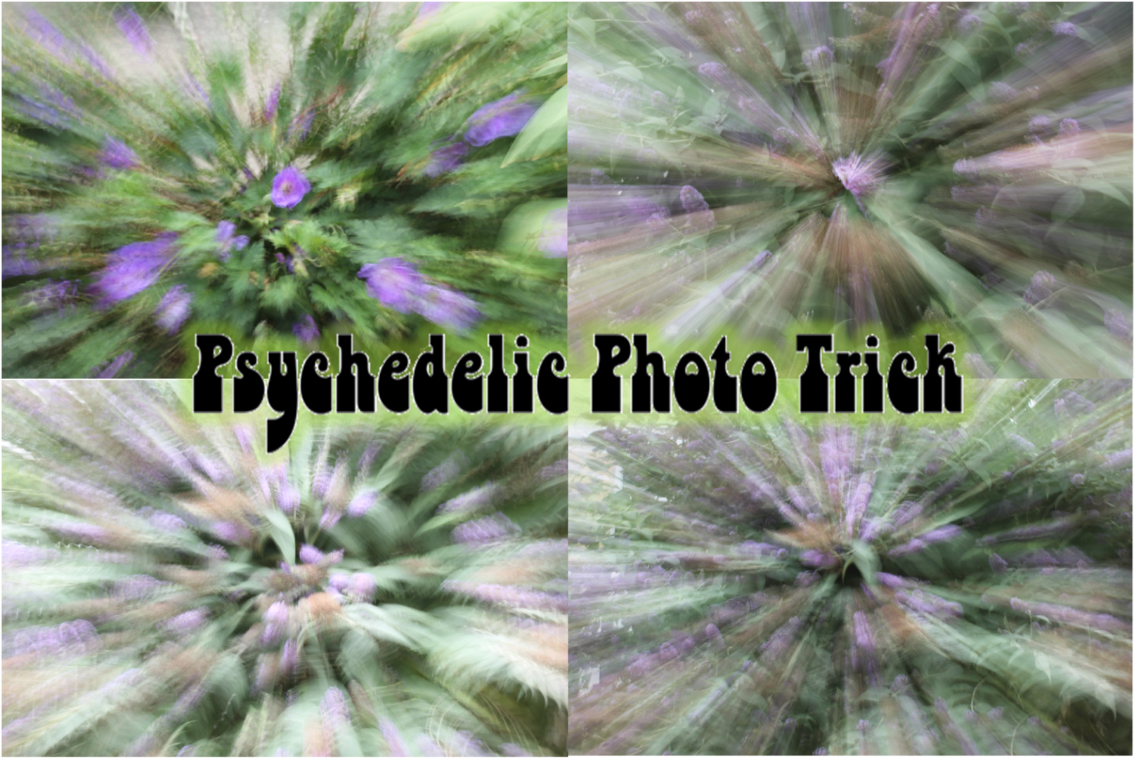 Psychedelic photo trick two.png