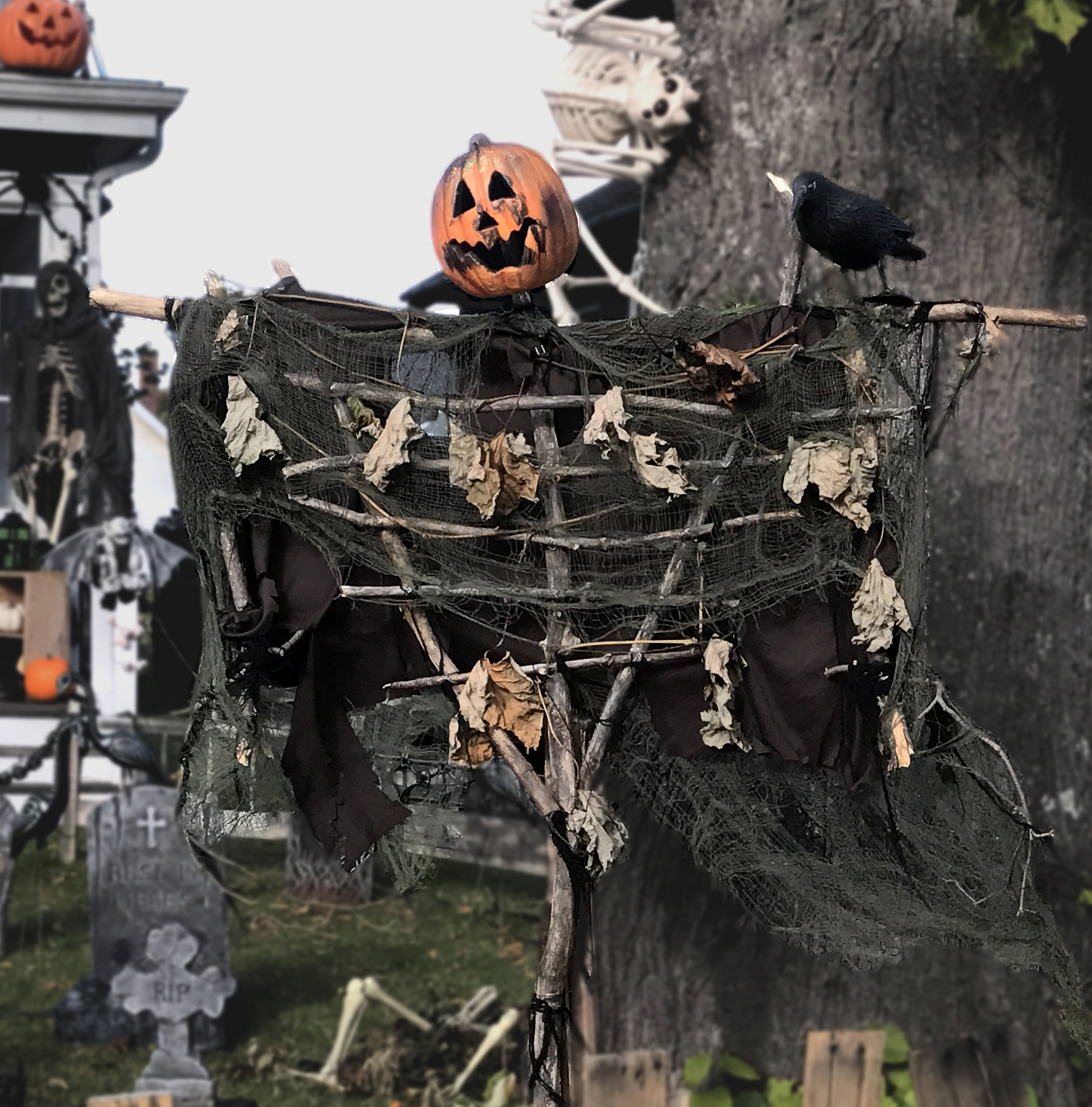 Pumkin Scarecrow.jpg