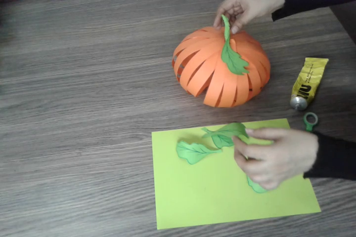 Pumpkin (14).png