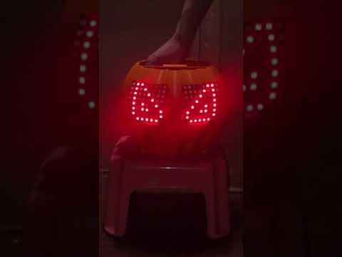 Pumpkin Expressions Timelapse