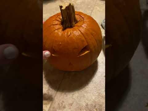 Pumpkin Lid