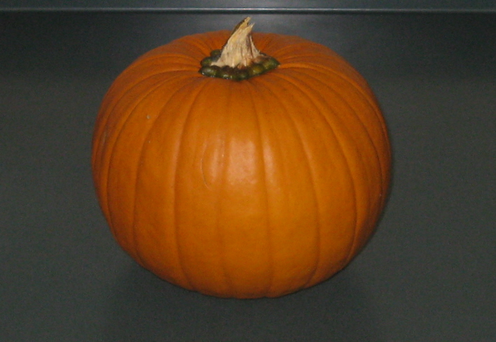 Pumpkin Puree 1.jpg