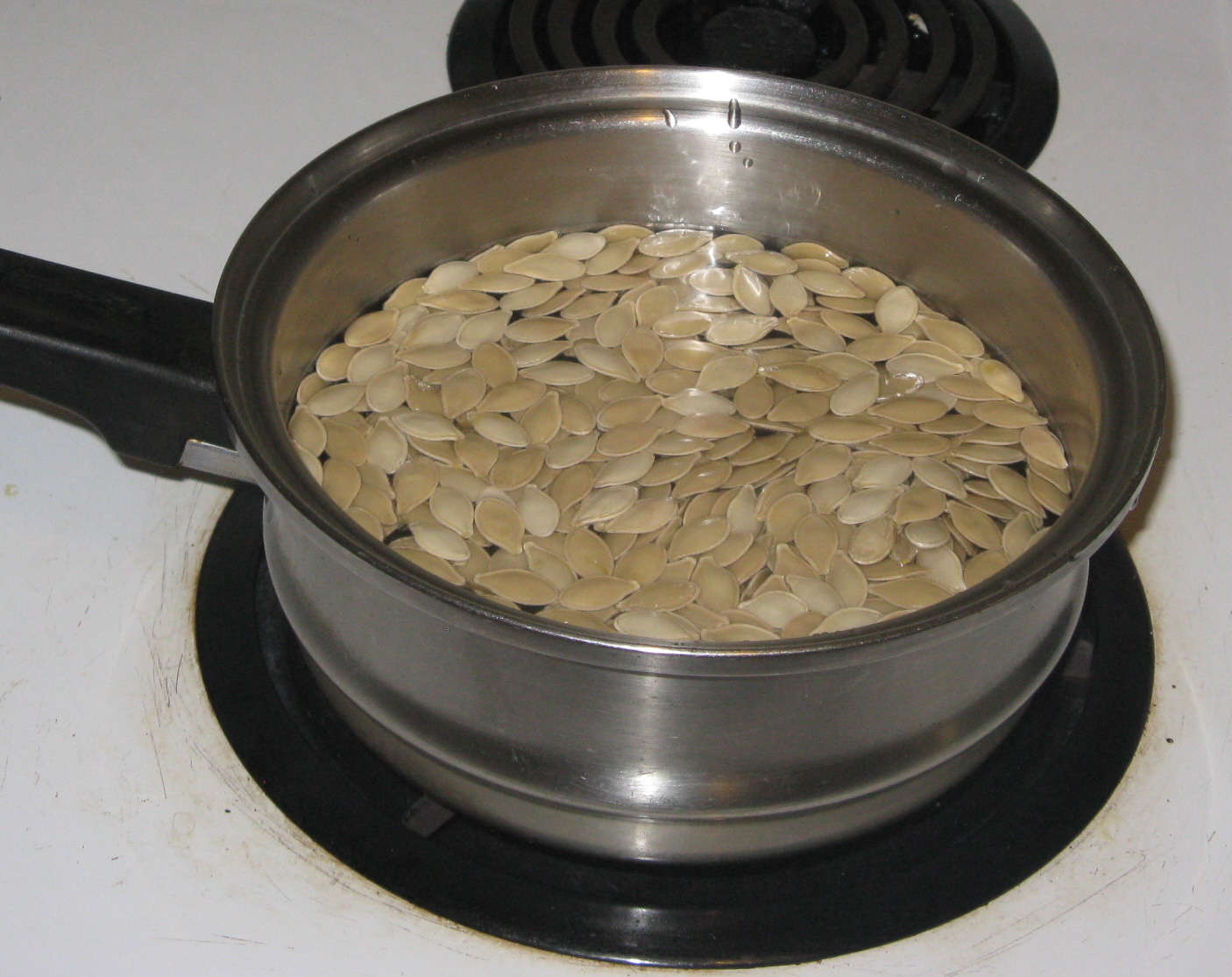 Pumpkin Seeds 3.jpg