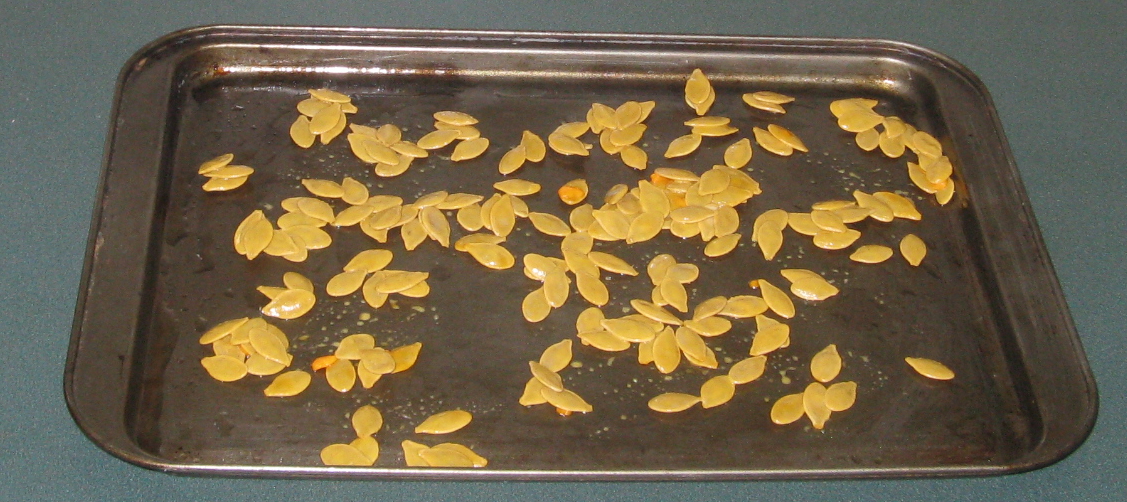 Pumpkin Seeds 9.jpg