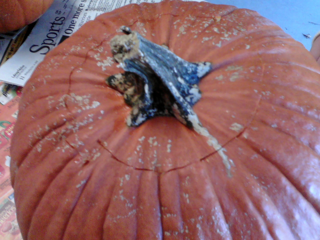 Pumpkin5.jpg