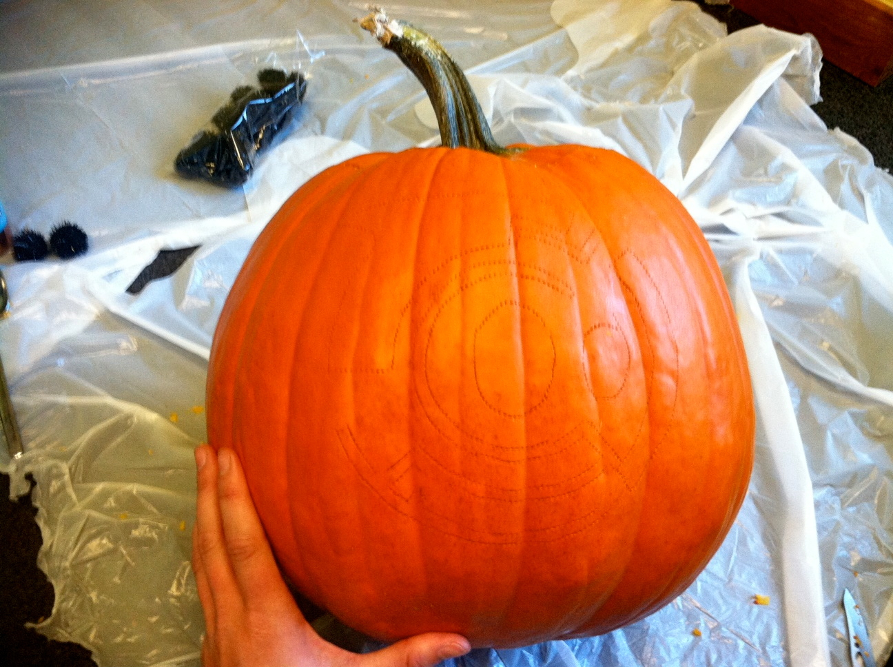 Pumpkin5_WJ.jpg