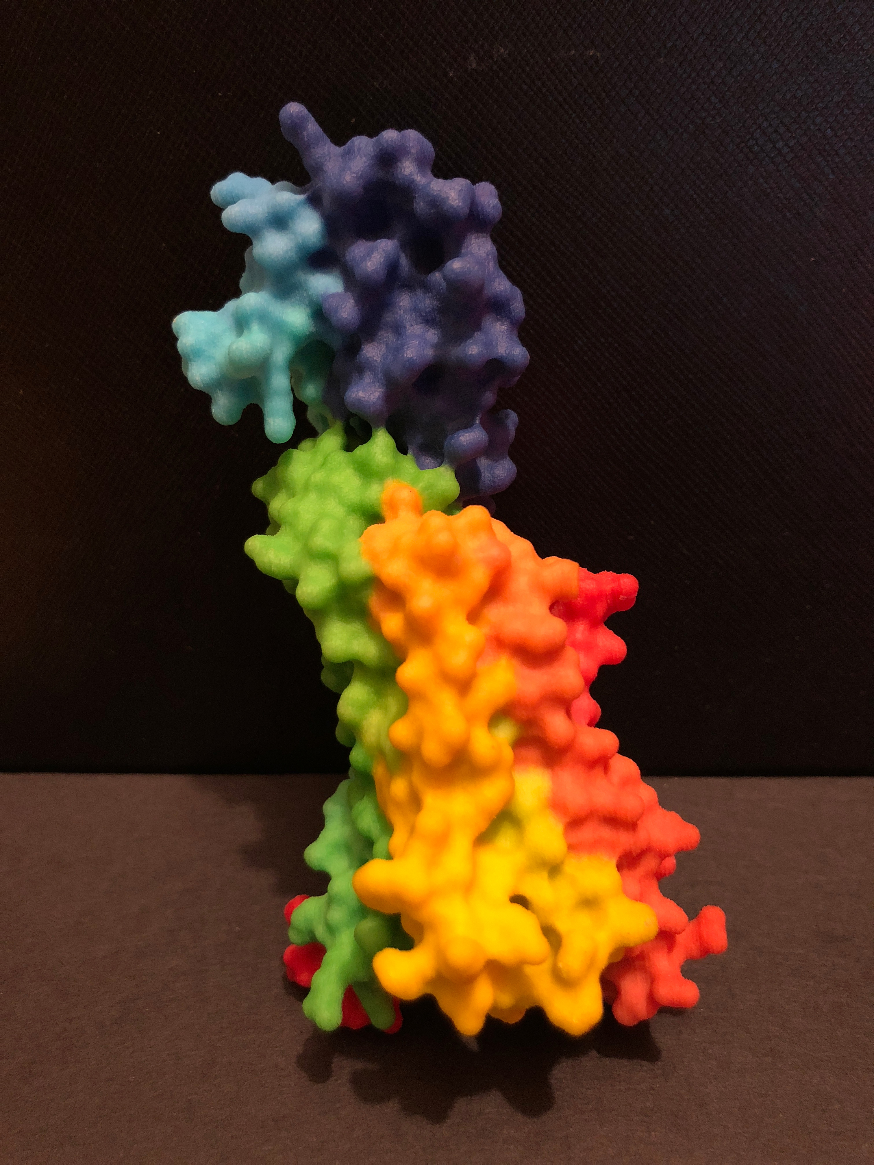 PyMol Printed Model.jpg