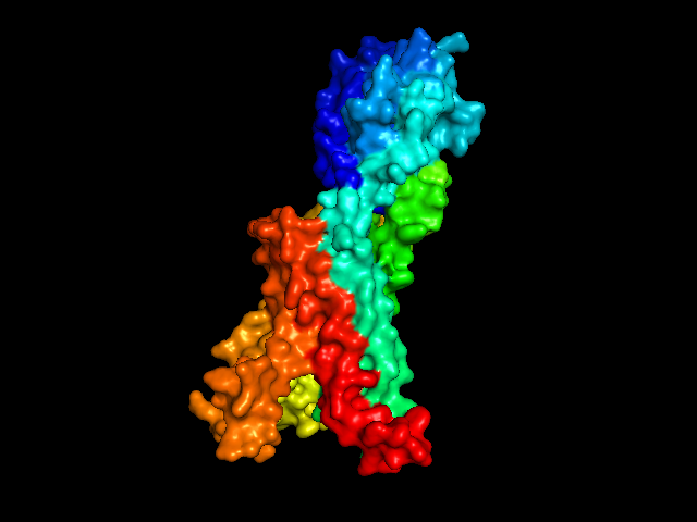 PyMol final model view.png