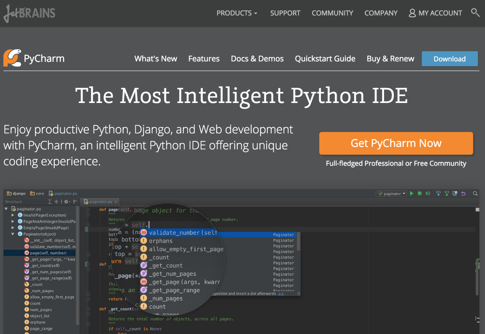 Python_IDE___Django_IDE_for_Web_developers___JetBrains_PyCharm.png