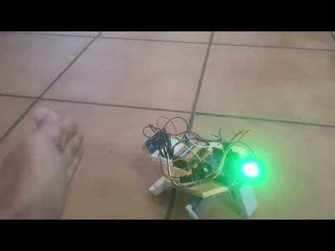 Quadruino spider robot pruebas de software