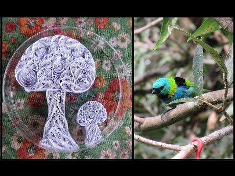 Quilling With Birds! Decoration to Prevent Window Crashes