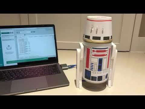 R5-D4 Model