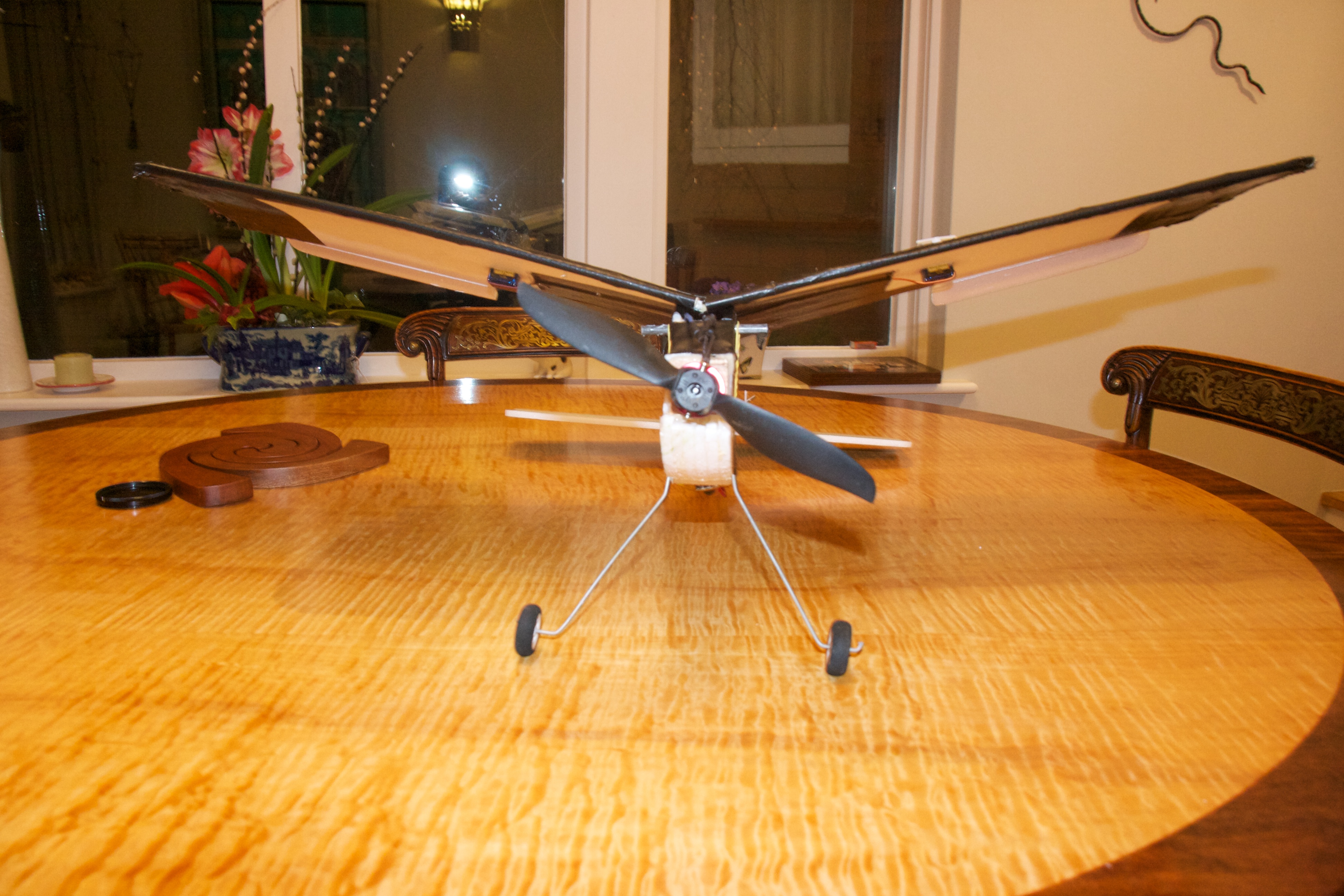 RC Plane 017.jpg