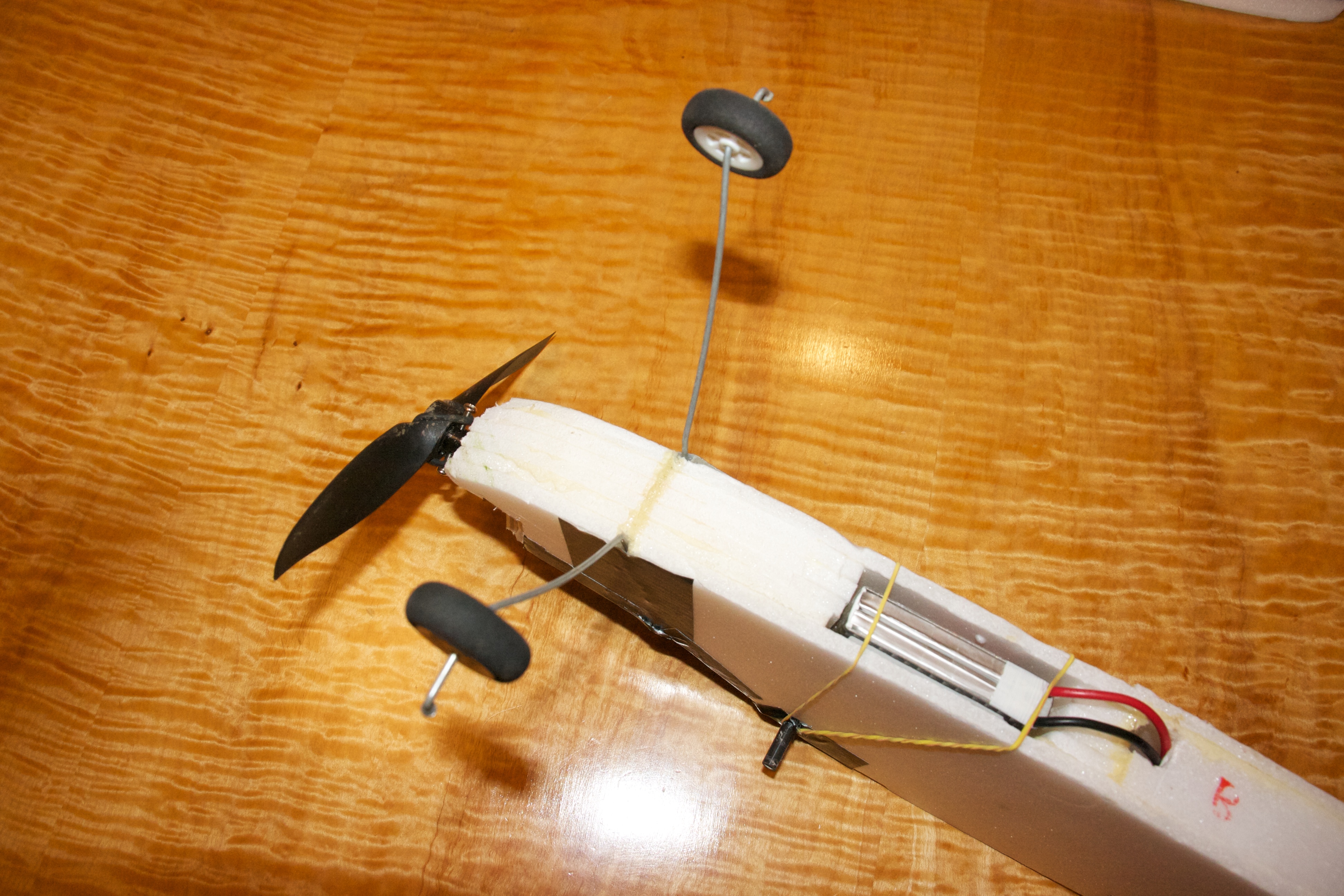 RC Plane 020.jpg