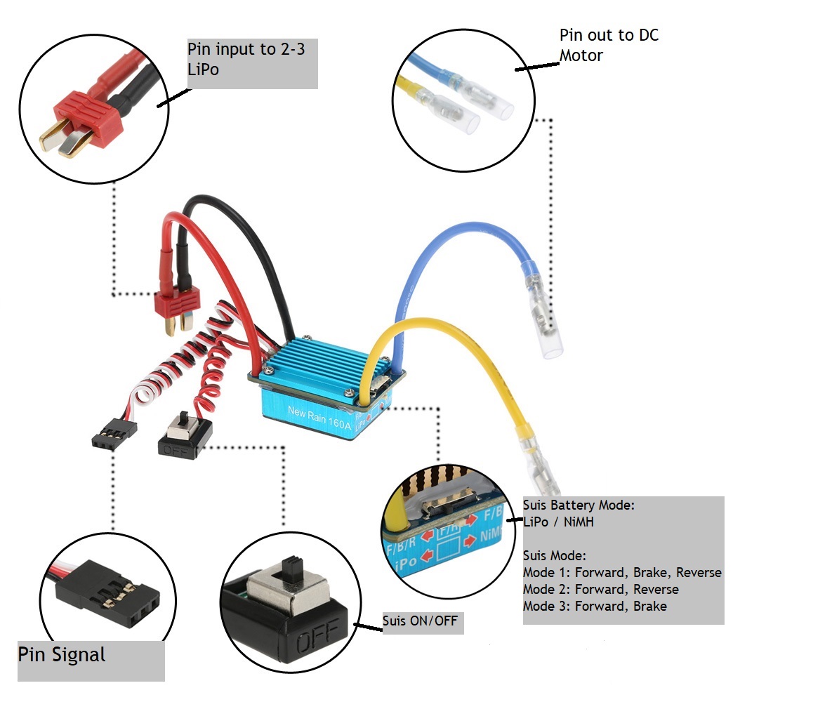 RM5174-1-5bc8-m5bg.jpg