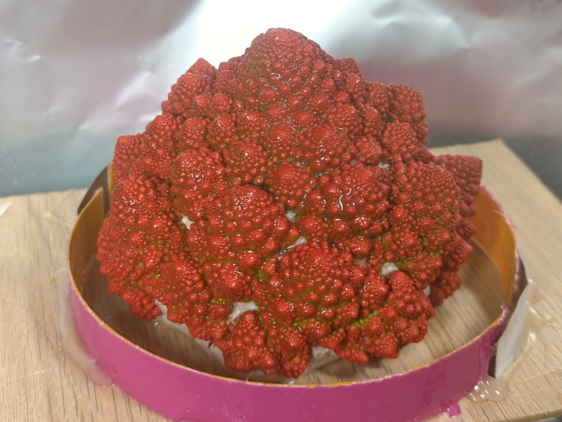 ROMANESCO 1  (1).png