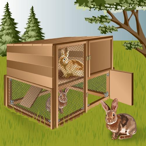 Rabbit Hutch.jpg