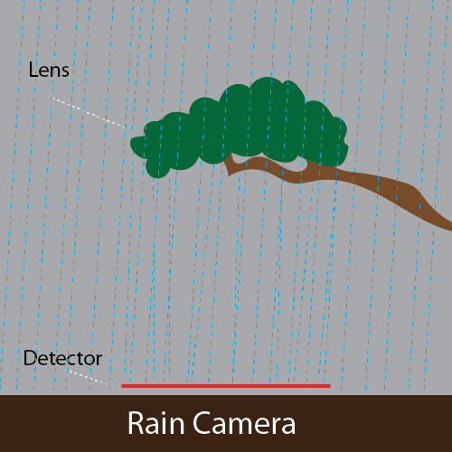 RainCamDiag-01.png