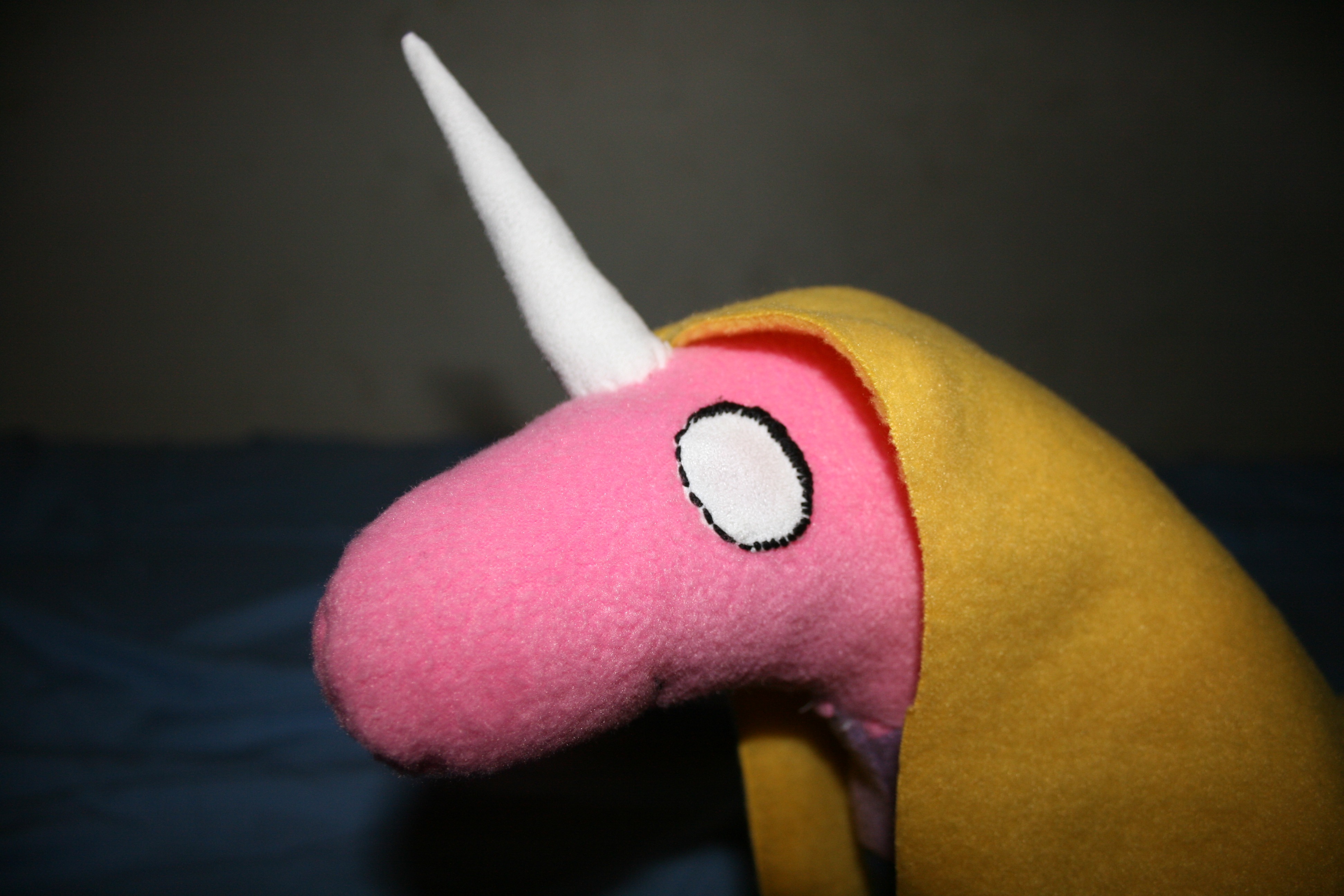 Rainicorn 004.JPG