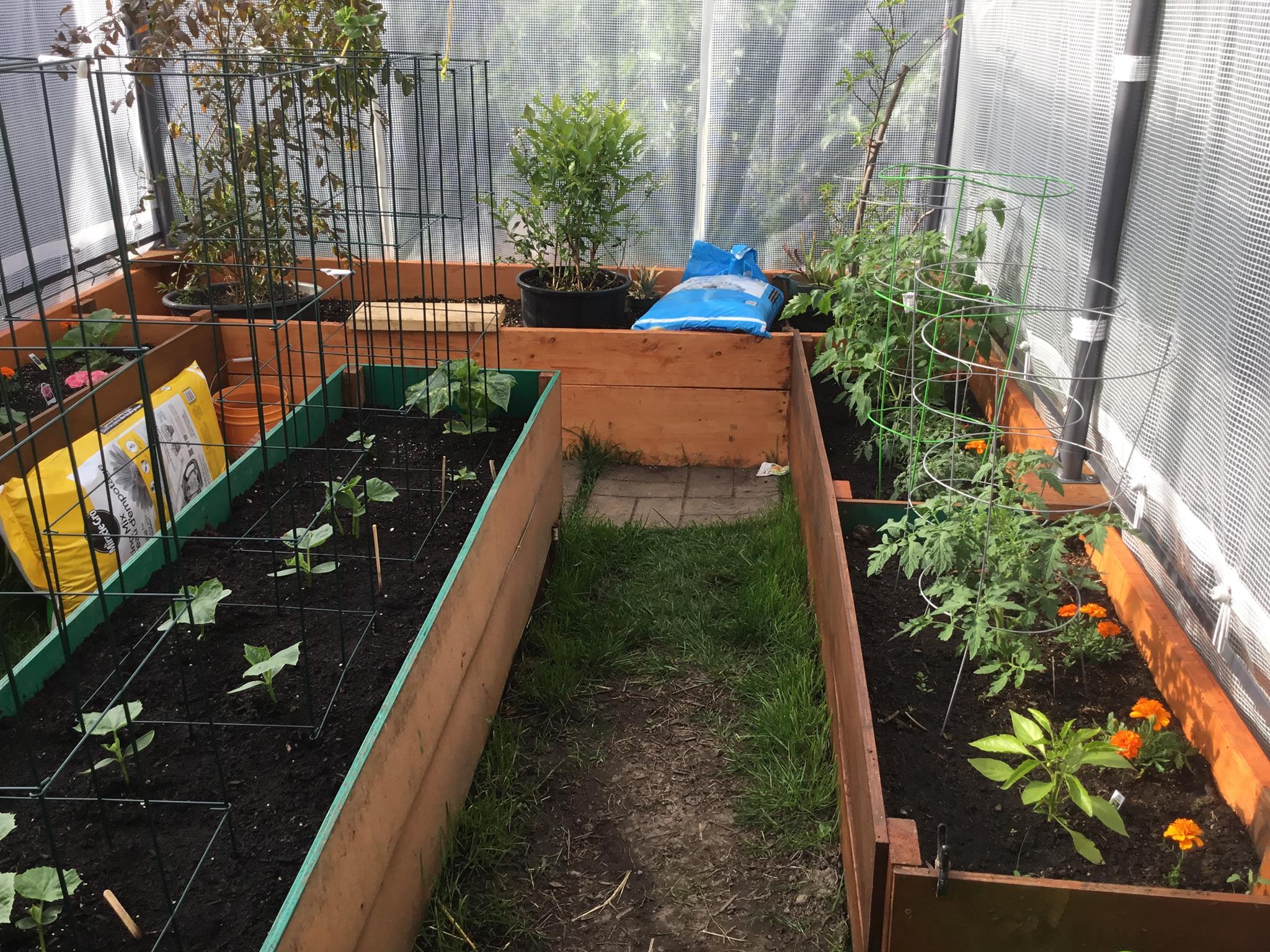 Raised Beds 2.jpg