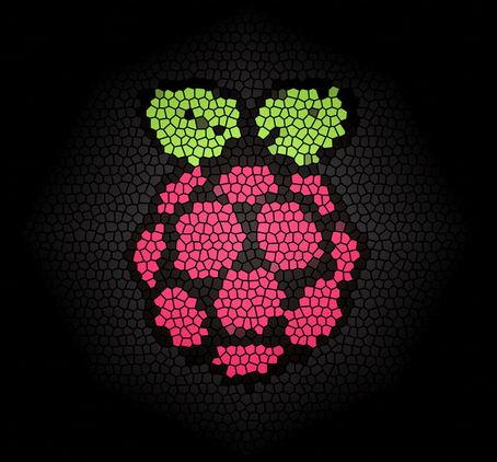 RaspBerry Pi Logo_02.JPG