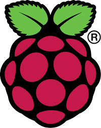 Raspberry Pi Logo .png