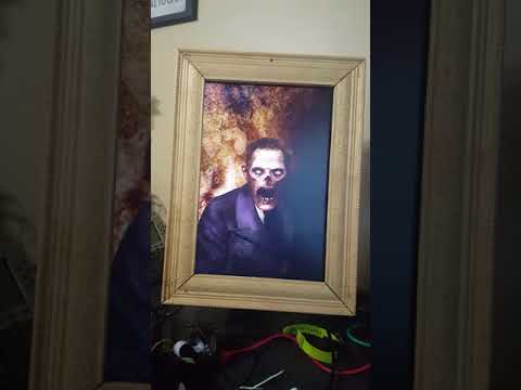 Raspberry Pi based Living Portrait player