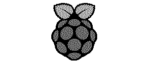 Raspberry_1.bmp