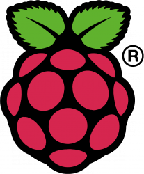 Raspi_Colour_R-207x250.png