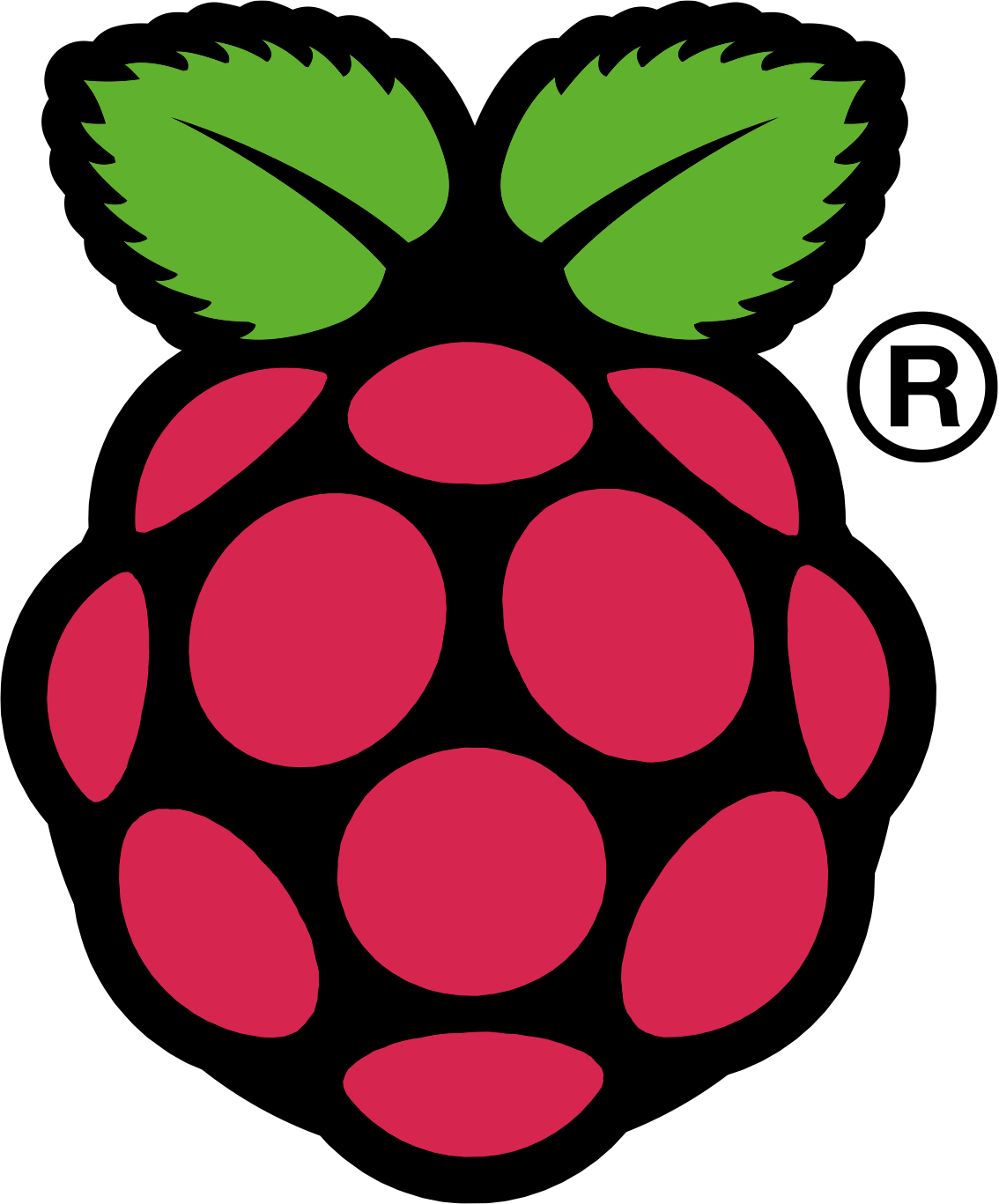 Raspi_Colour_R.png