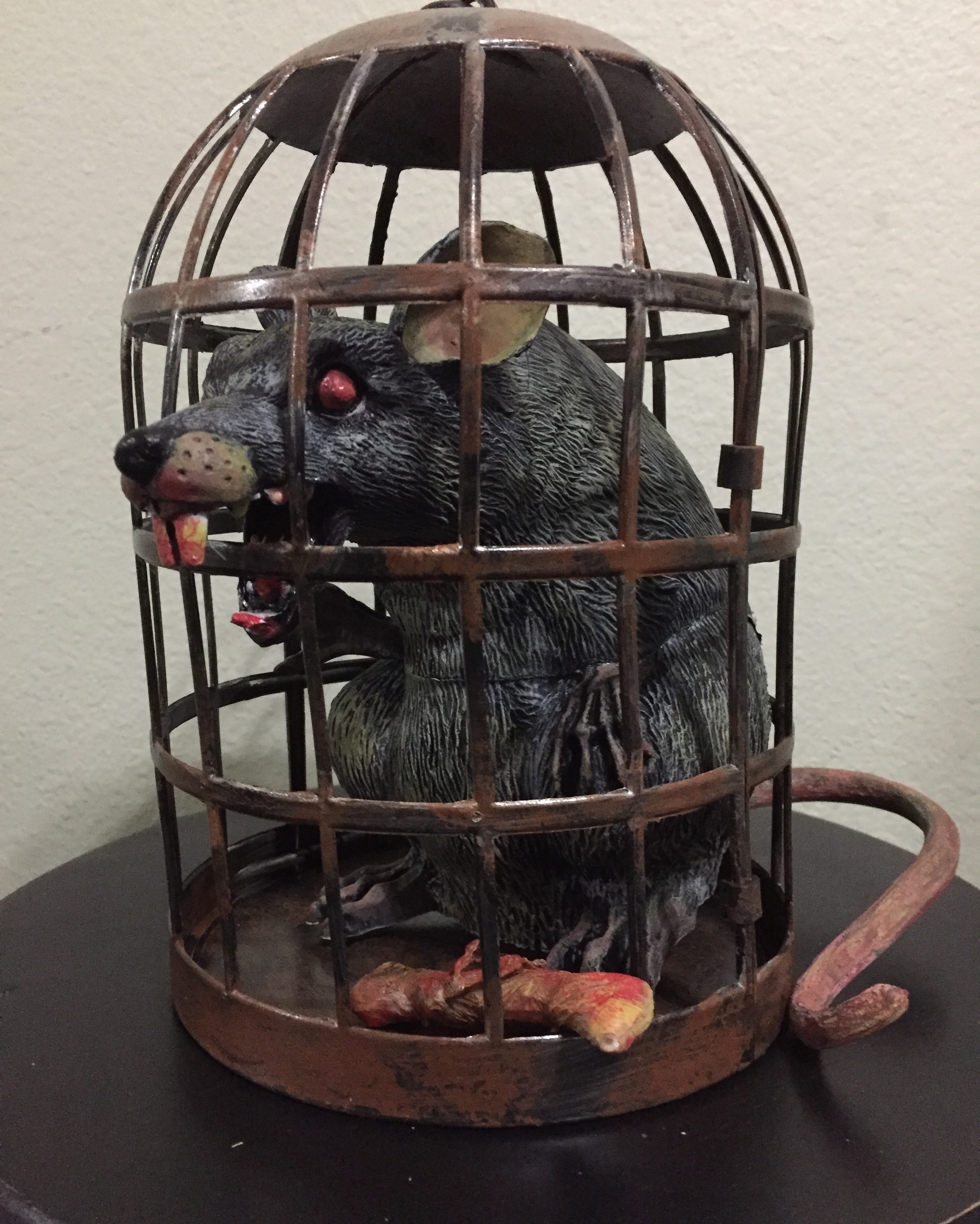 Rat in cage 2.JPG