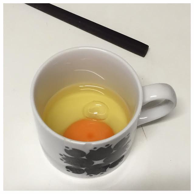 Raw Egg.jpg