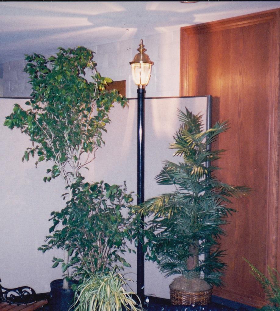 Reception light pole.jpg