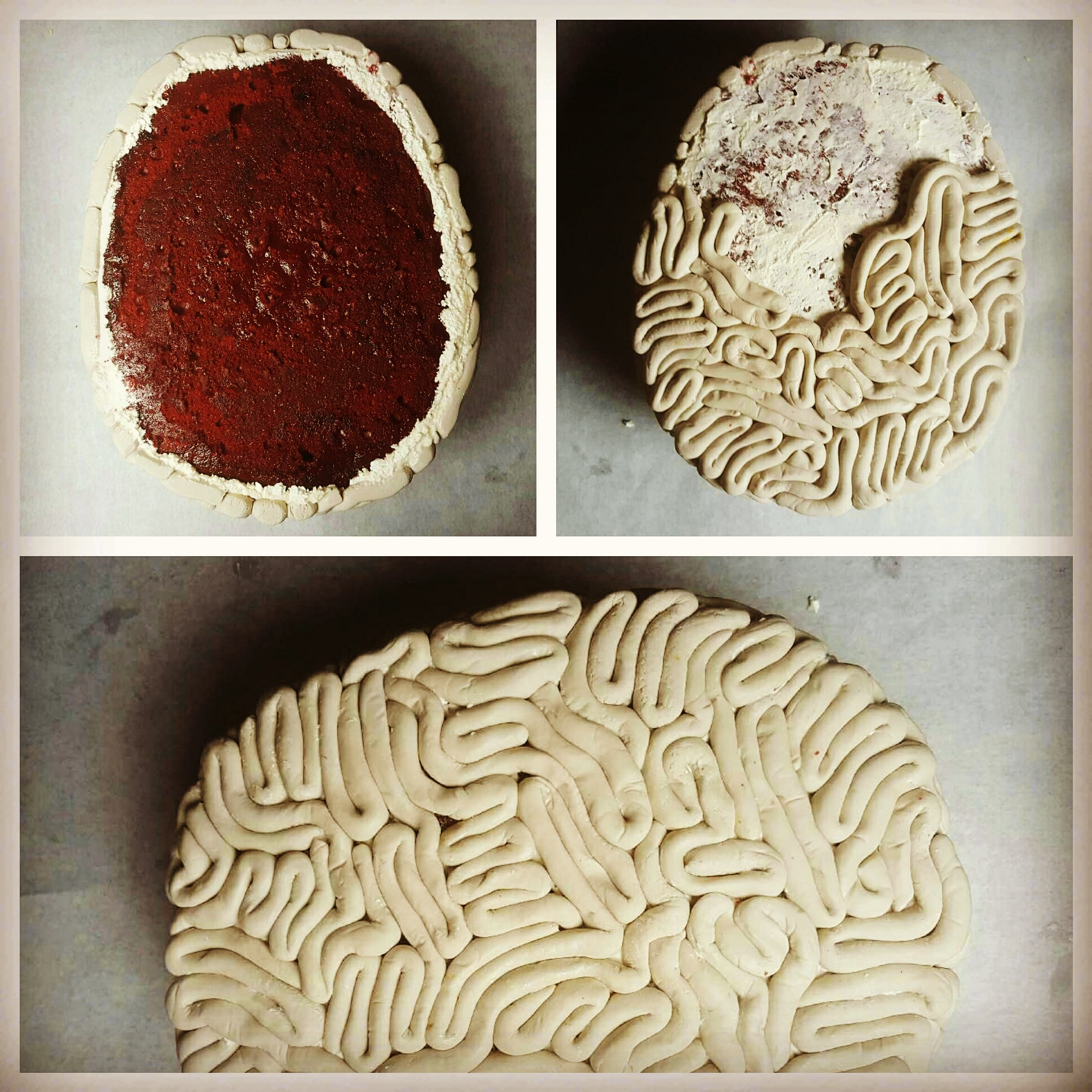 Red Velvet Brain Cake Step 21.jpg